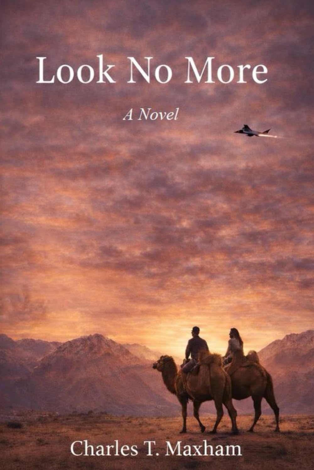 Front cover of Look No More by Charles T. Maxham
